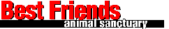 Best Friends logo